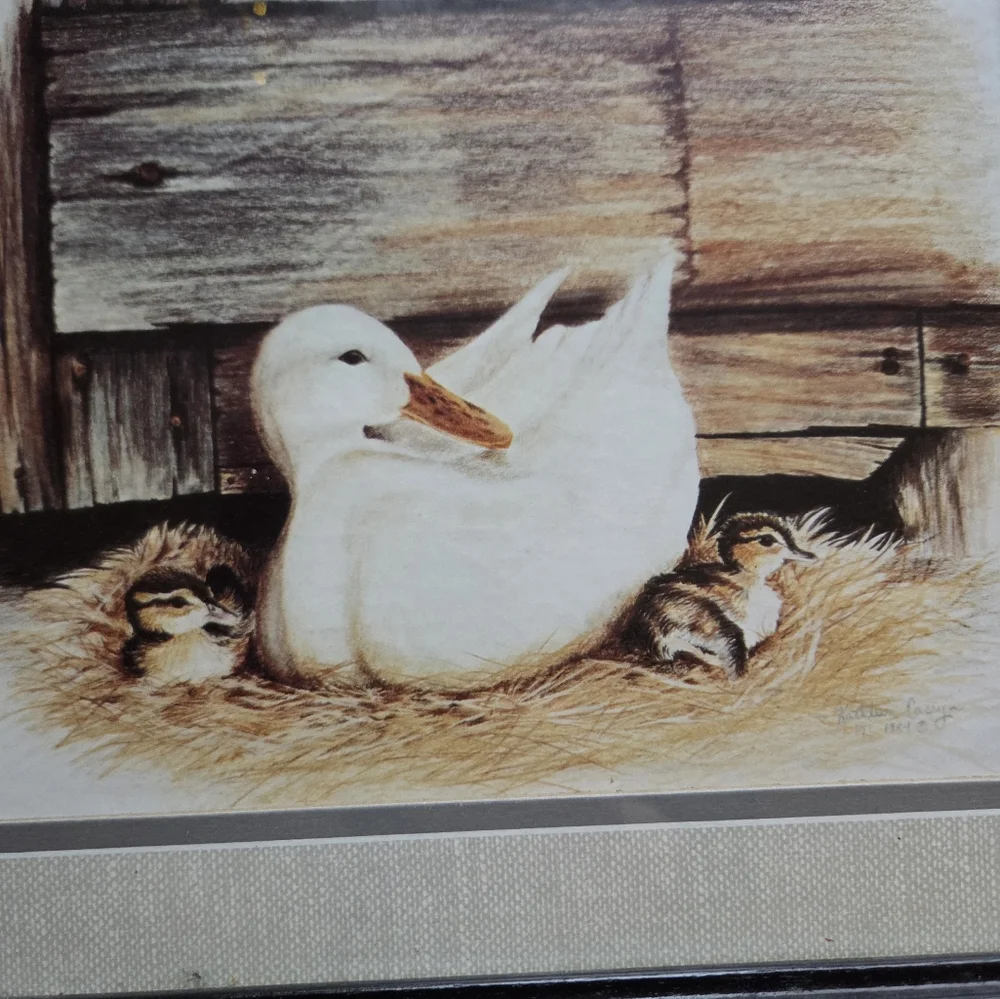 Vintagw‎ Black Framed Duck Art Print